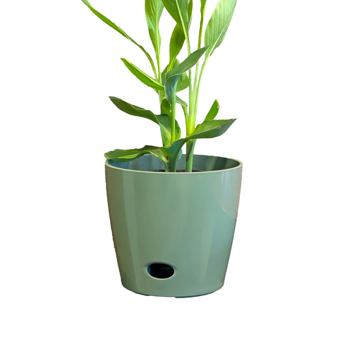 10" Sage Round Self-Watering Bamboo Pot