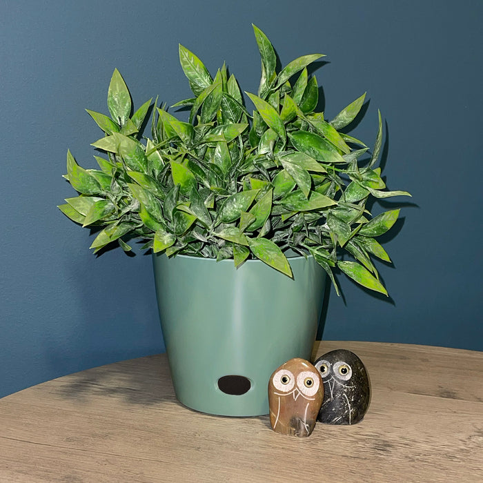 5" Sage Green Round Self-Watering Bamboo Pot