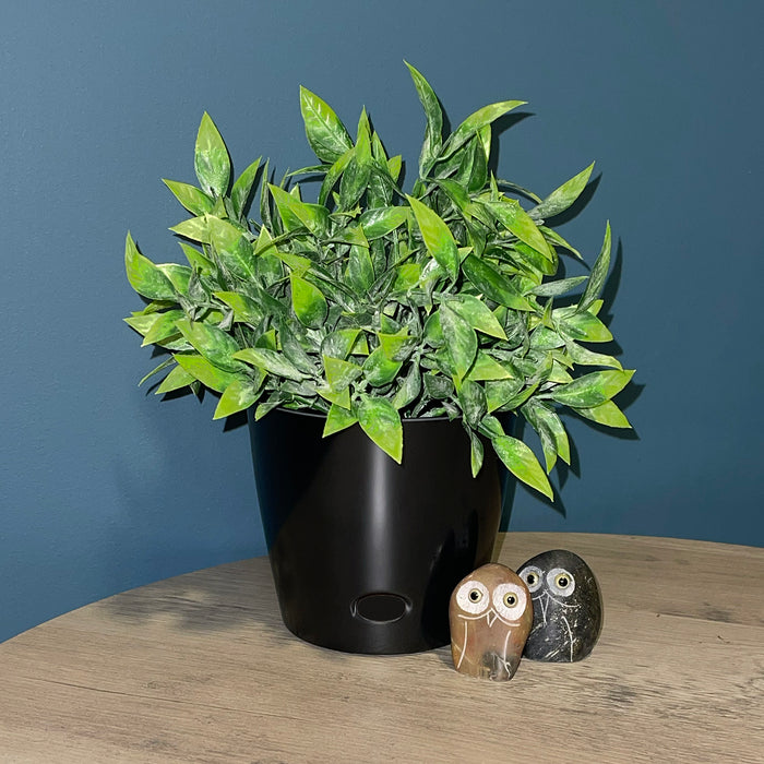 5" Black Round Self-Watering Bamboo Pot