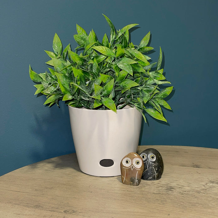 5" Cream Round Self-Watering Bamboo Pot