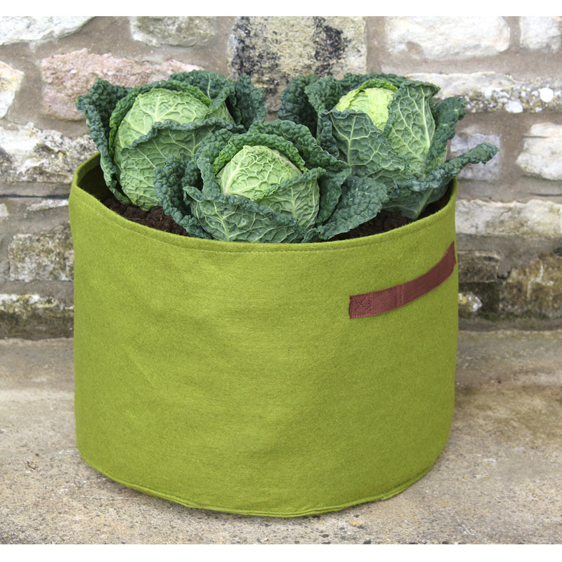 Vigoroot Vegetable Planter