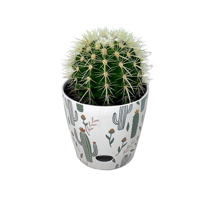 7" Cactus Round Self-Watering Bamboo Pot