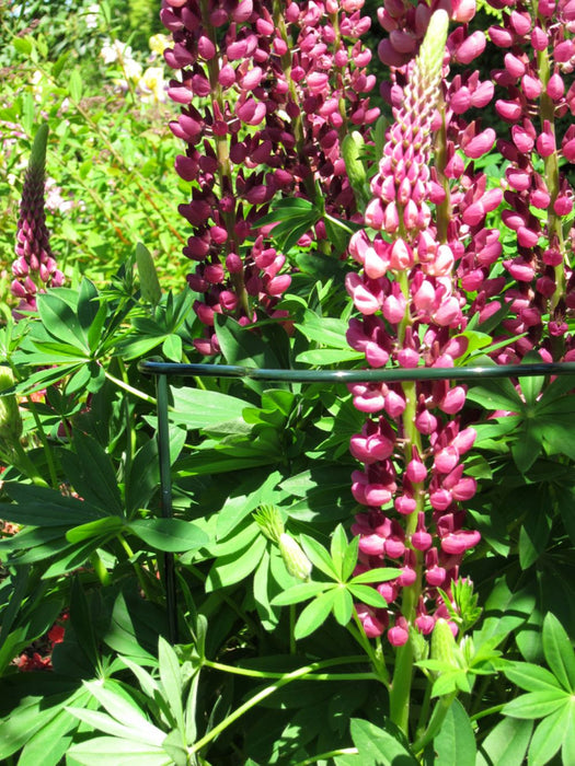 Plant 28" Scaloped Cradle Kit