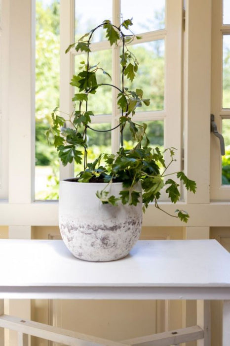 Plant Trellis Kit- Deco Style