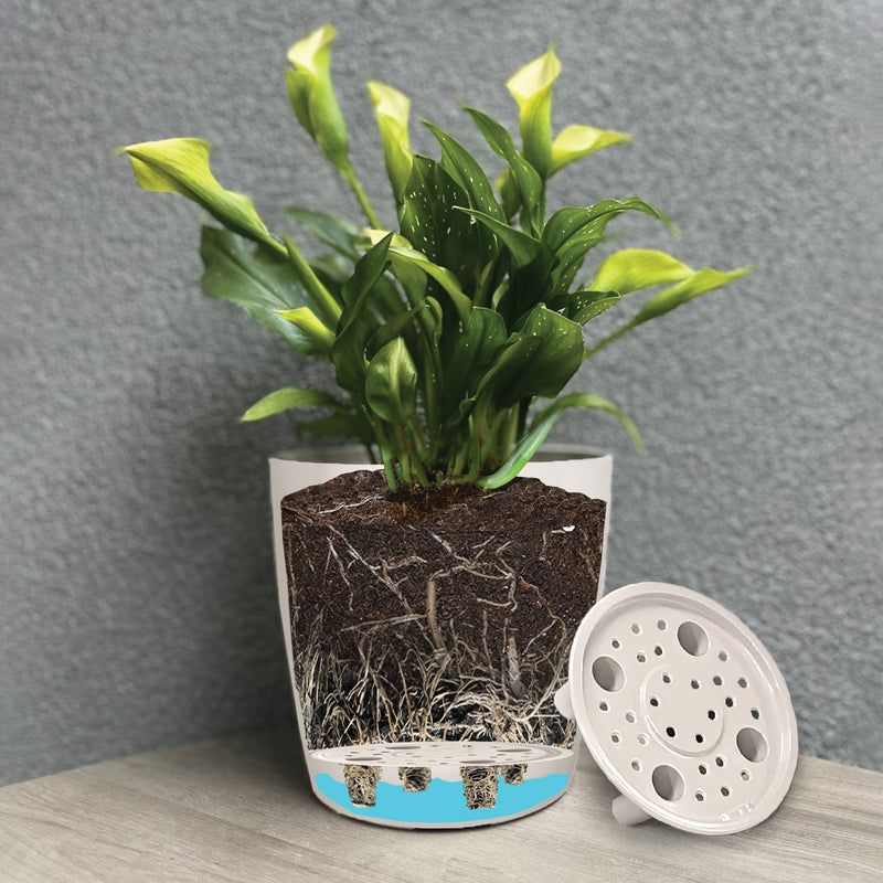 5" Gray Leaves Round Self-Watering Bamboo Pot