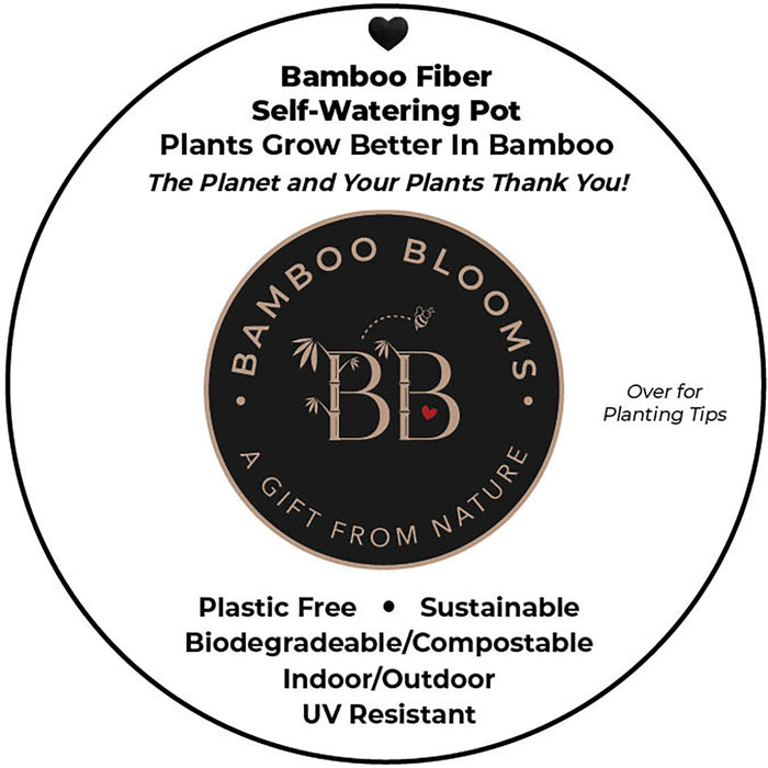 bamboo fibre plant pots 7" Mosaic Round Self-Watering Bamboo Pot