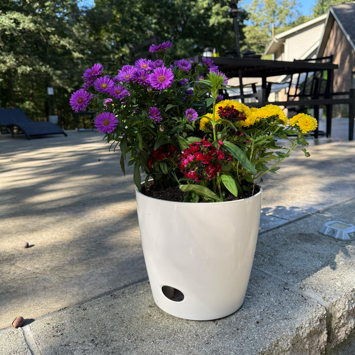 10" Cream Round Self-Watering Bamboo Pot