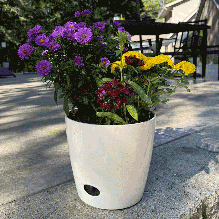 10" Cream Round Self-Watering Bamboo Pot