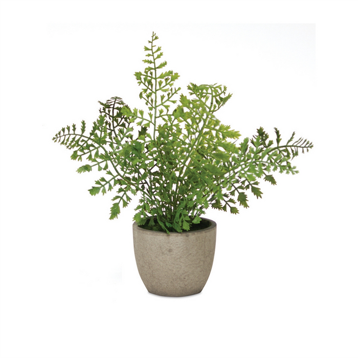 Potted Fern (Set of 3) 9.5”H Plastic