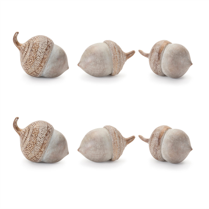 White Washed Etched Acorn (Set of 6)