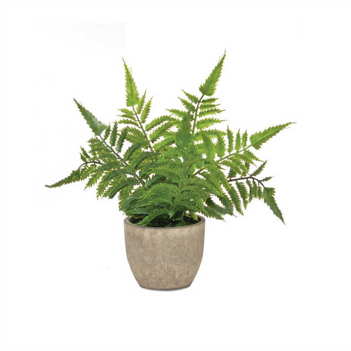 Potted Fern (Set of 3) 9.5”H Plastic