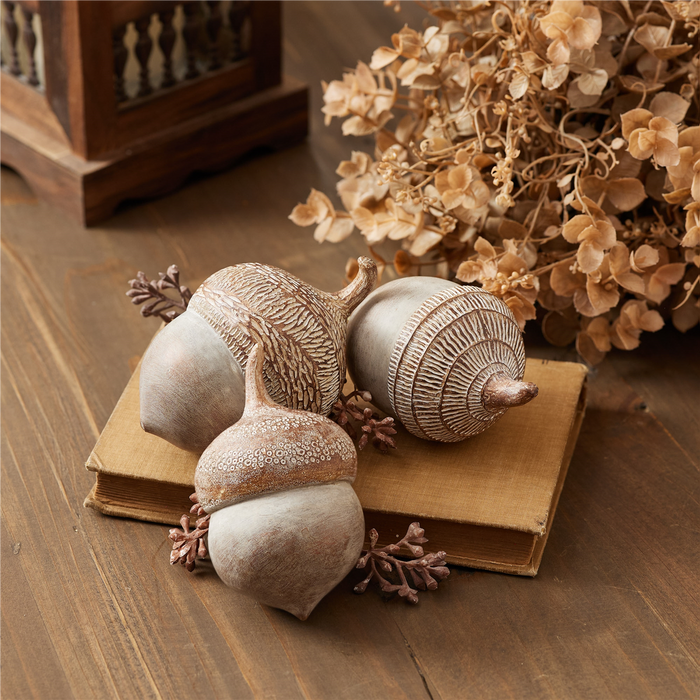 White Washed Etched Acorn (Set of 6)