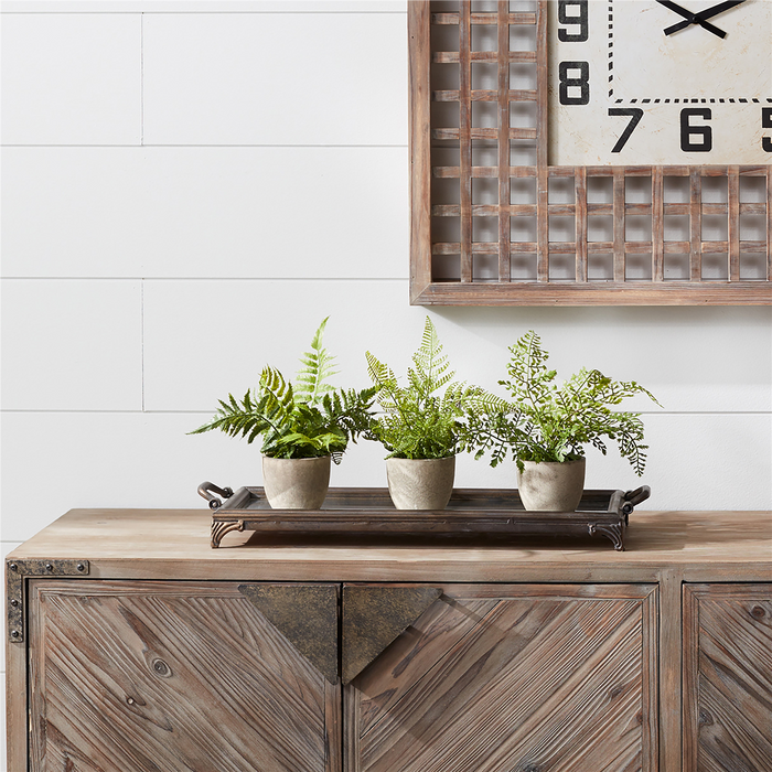 Potted Fern (Set of 3) 9.5”H Plastic