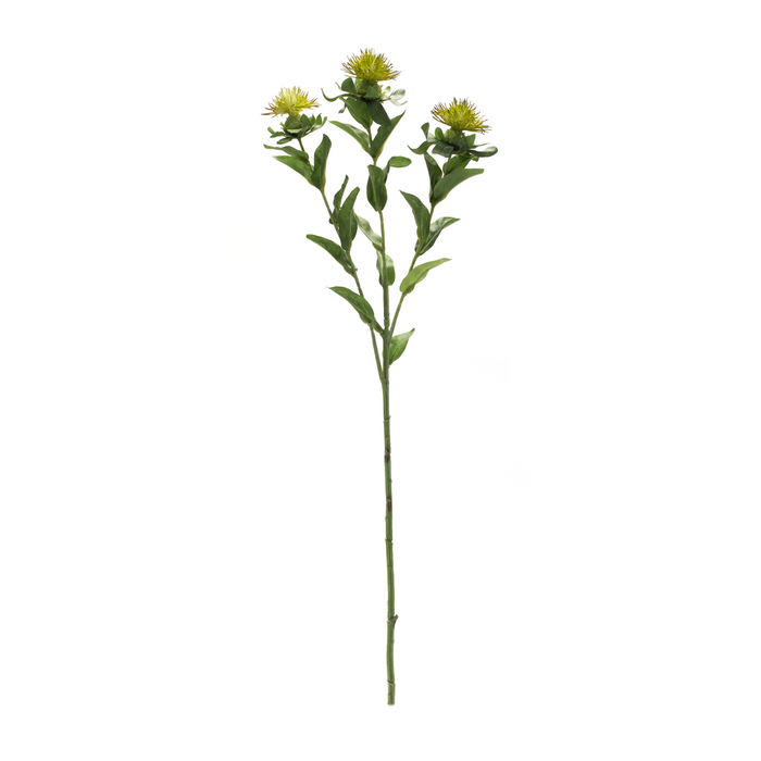 Thistle Spray (Set of 6) 34.75”H Polyester