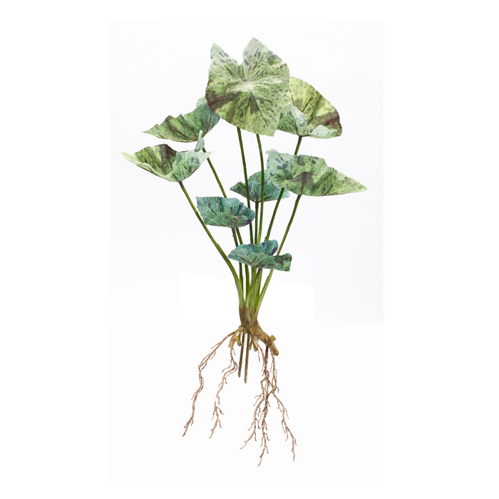 Caladium Bush (Set of 6) 18.5”H Polyester