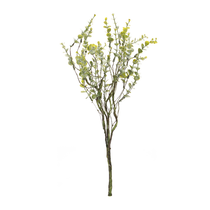 Boxwood Spray (Set of 6) 18”H Plastic