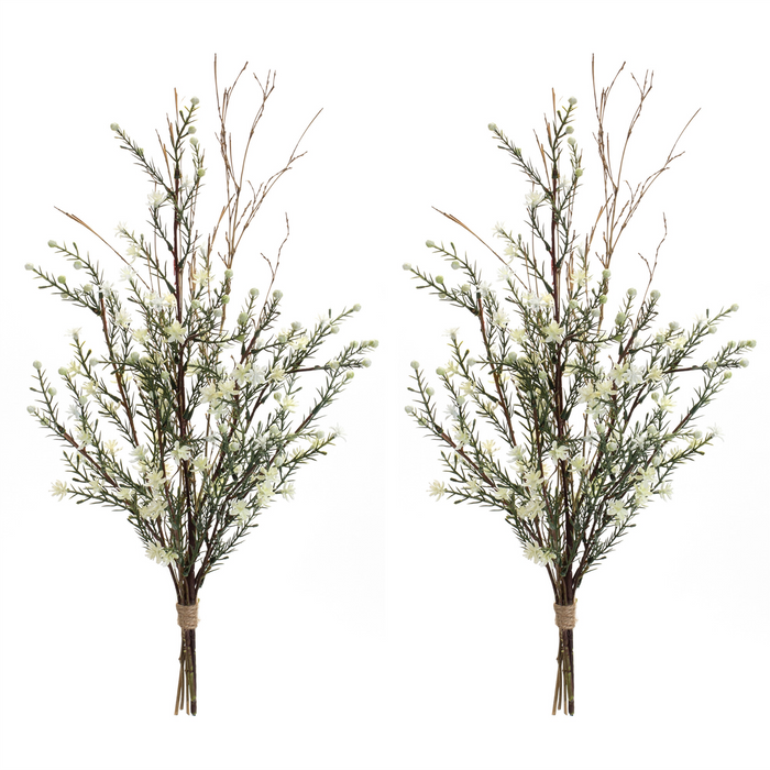 Leptospermum Swag (Set of 6) 22”L Plastic