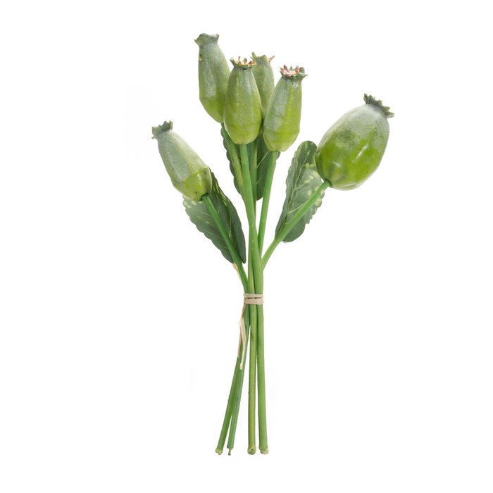 Poppy Pod Bundle (Set of 6) 9.5”H Foam/Plastic