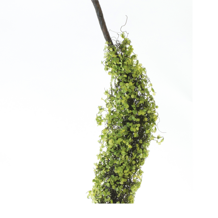 Foliage Vine (Set of 2) 40”L Plastic
