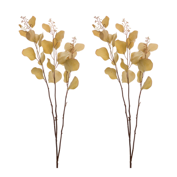 Eucalyptus Stem (Set of 2) 38”H Polyester