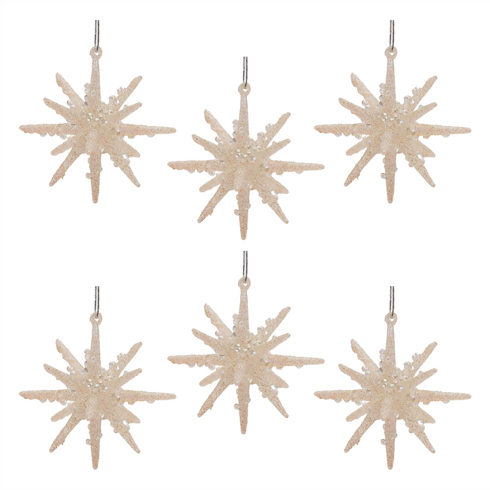 Frosted Glass Star Ornament (Set of 6)