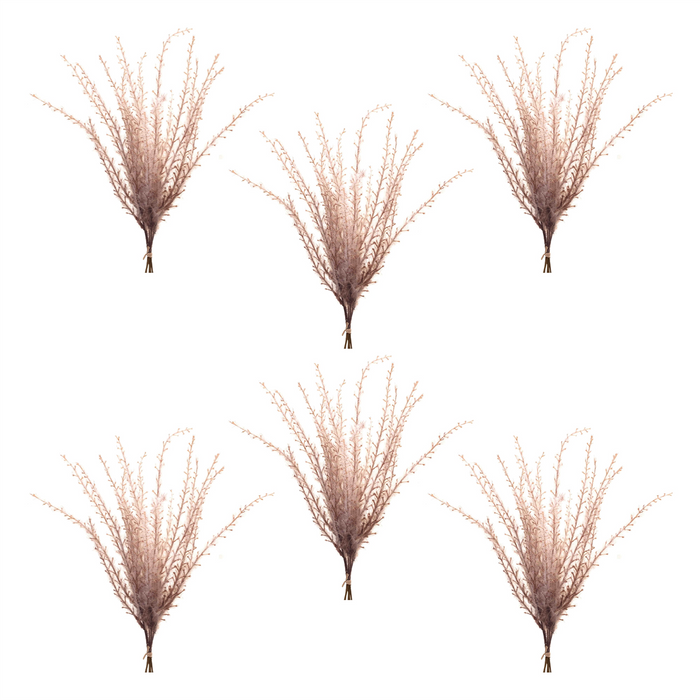 Grass Plume Bundle (Set of 6)
