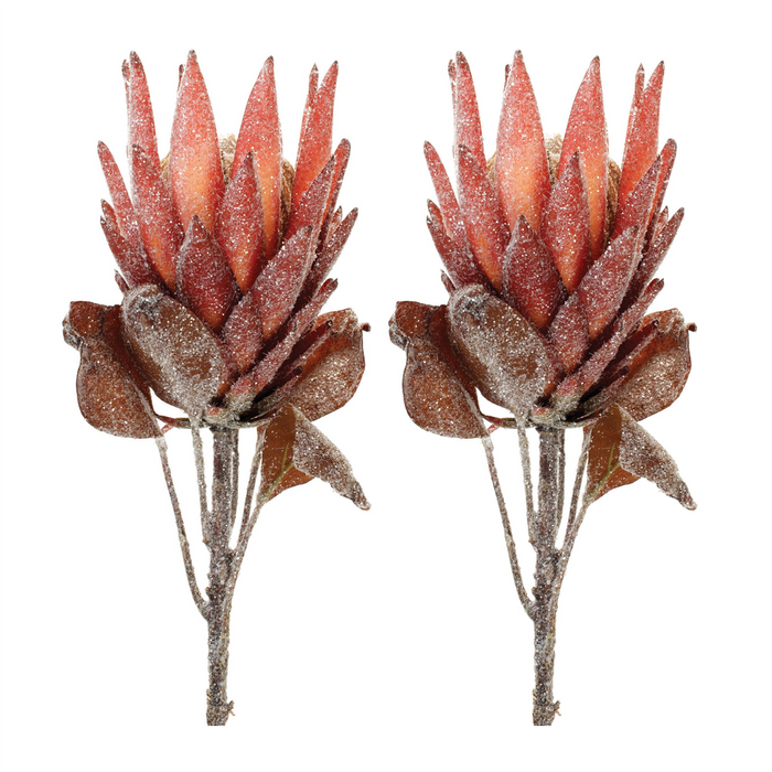 Red Protea Flower Stem (Set of 2)