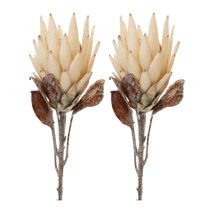 Beige Protea Flower Stem (Set of 2)