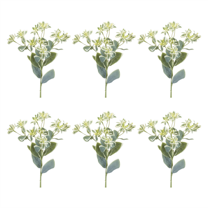 Euphorbia Spray (Set of 6) 18.5”H Polyester