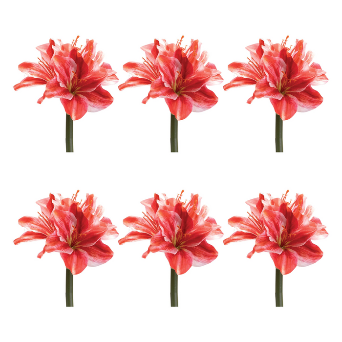 Amaryllis Flower Stem (Set of 6)