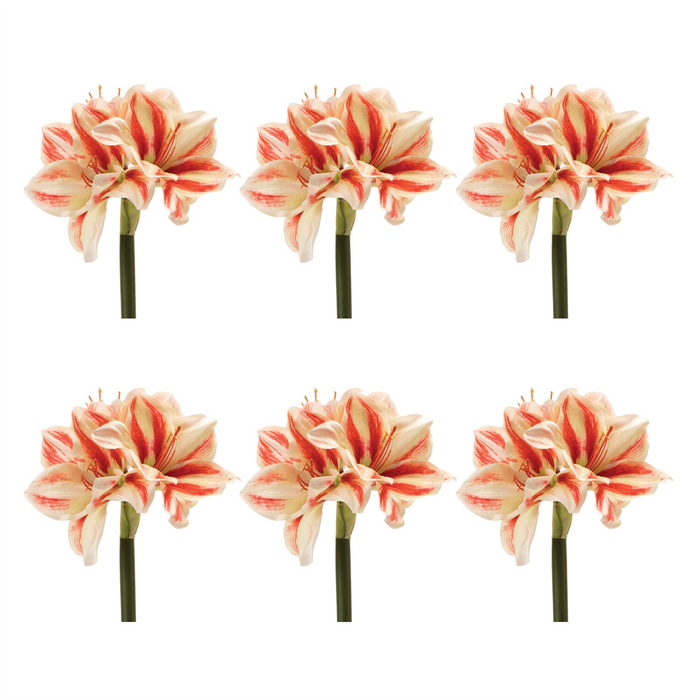 Amaryllis (Set of 6) 17.5”H Polyester