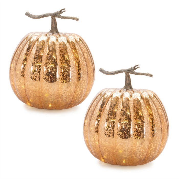 LED Mercury Glass Pumpkin Decor (Set of 2)