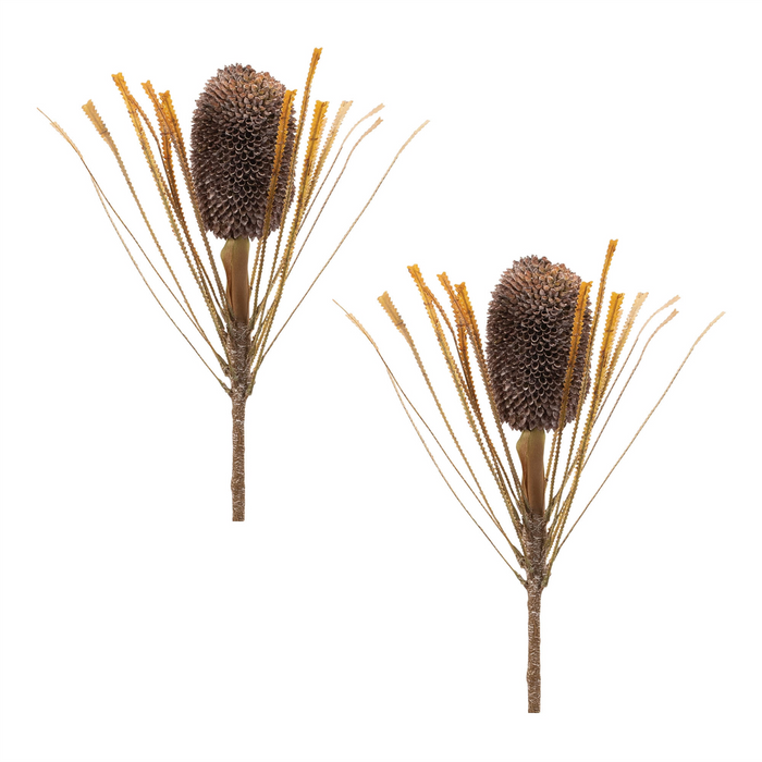 Fall Banksia Pod Stem (Set of 2)