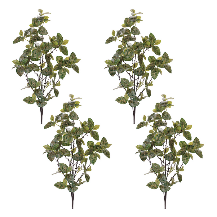 Fittonia Leaf Spray (Set of 4) 31”H Polyester