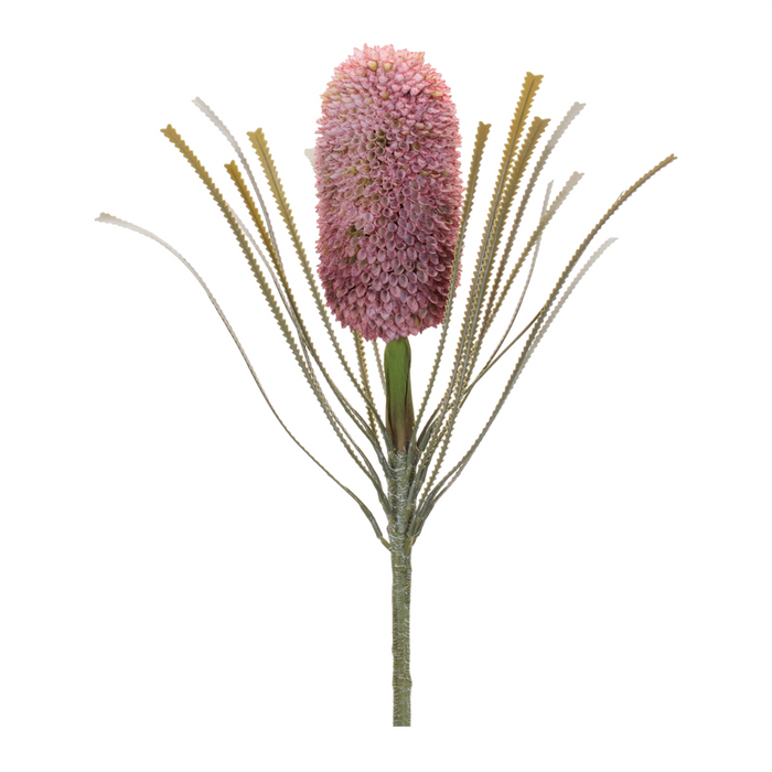 Protea Stem (Set of 2) 28”H Plastic