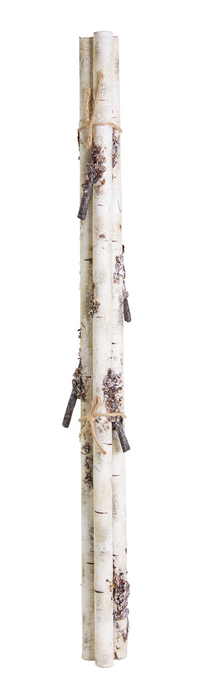 Rustic Birch Log Bundle with Snowy Accents (Set of 12)