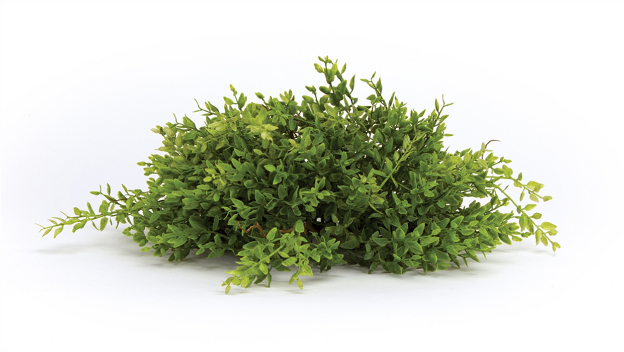 Mini Leaf Half Orb (Set of 6) 14"D Plastic