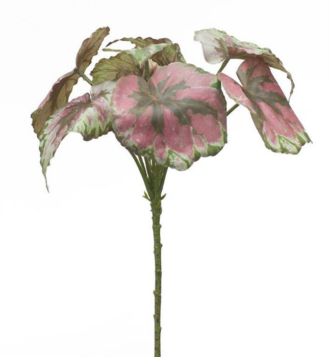 Begonia Leaf (Set of 2) 11.5”H Polyester