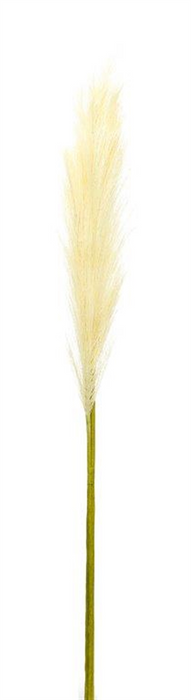 Pampas Spray (Set of 4) 30”H Polyester