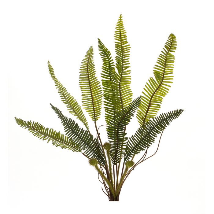 Fern Plant (Set of 6) 17.5”H Plastic