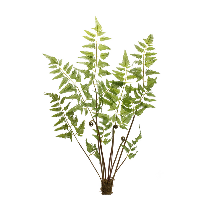 Fern Bundle (Set of 6) 37”H Polyester