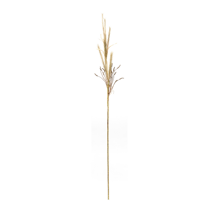 Fox Tail Stem (Set of 2) 47”H Polyester