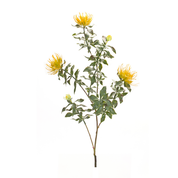 Protea Stem (Set of 6) 34.25”H Plastic/Flocking
