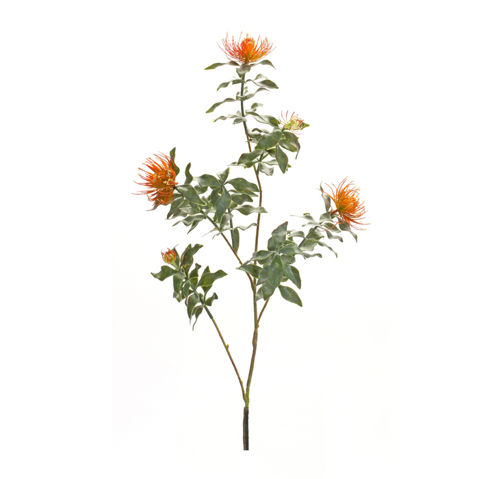 Protea Stem (Set of 6) 34.25”H Plastic/Flocking