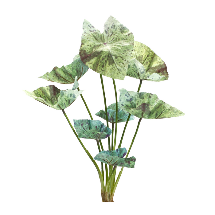 Caladium Bush (Set of 6) 18.5”H Polyester