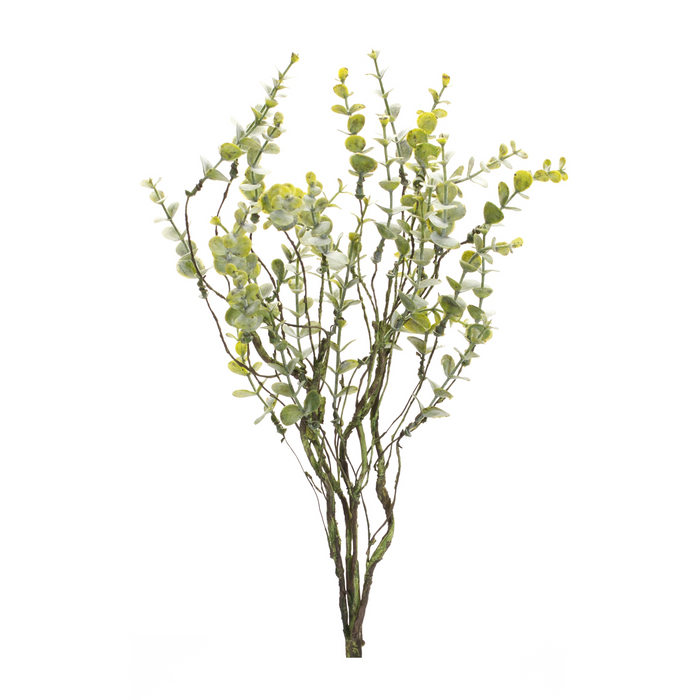 Boxwood Spray (Set of 6) 18”H Plastic
