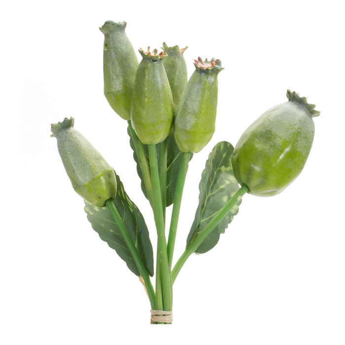 Poppy Pod Bundle (Set of 6) 9.5”H Foam/Plastic