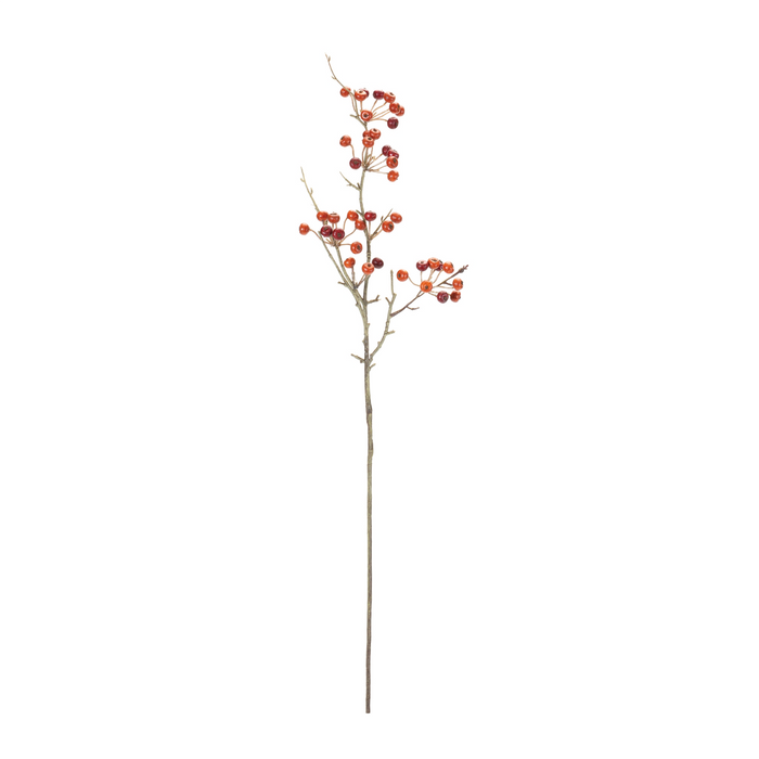 Berry Pod Spray (Set of 6)