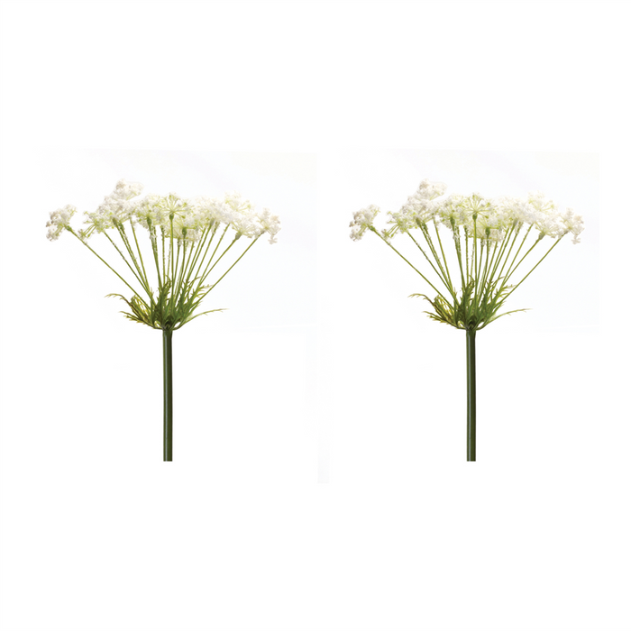Queen Anne's Lace Stem (Set of 2) 29”H Plastic