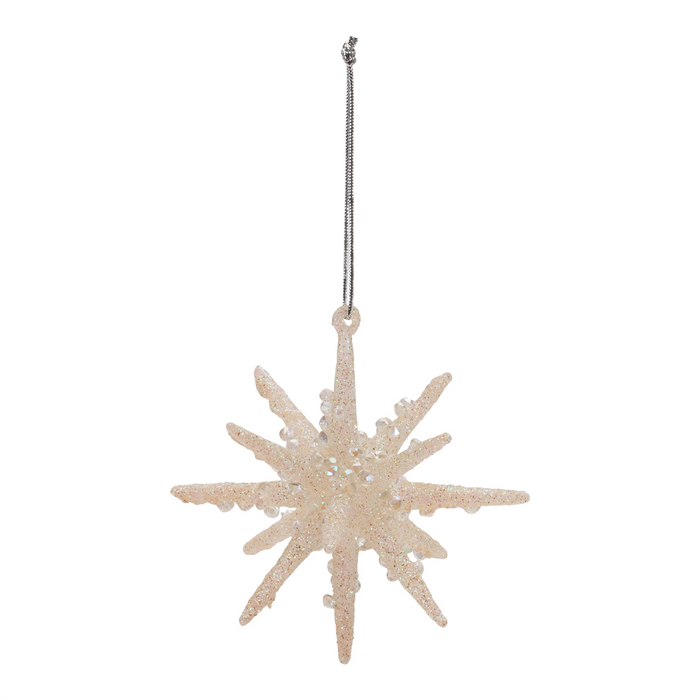 Frosted Glass Star Ornament (Set of 6)